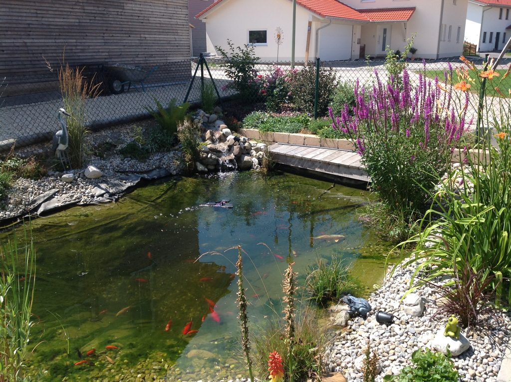 IMG_0079 - GartenTeich